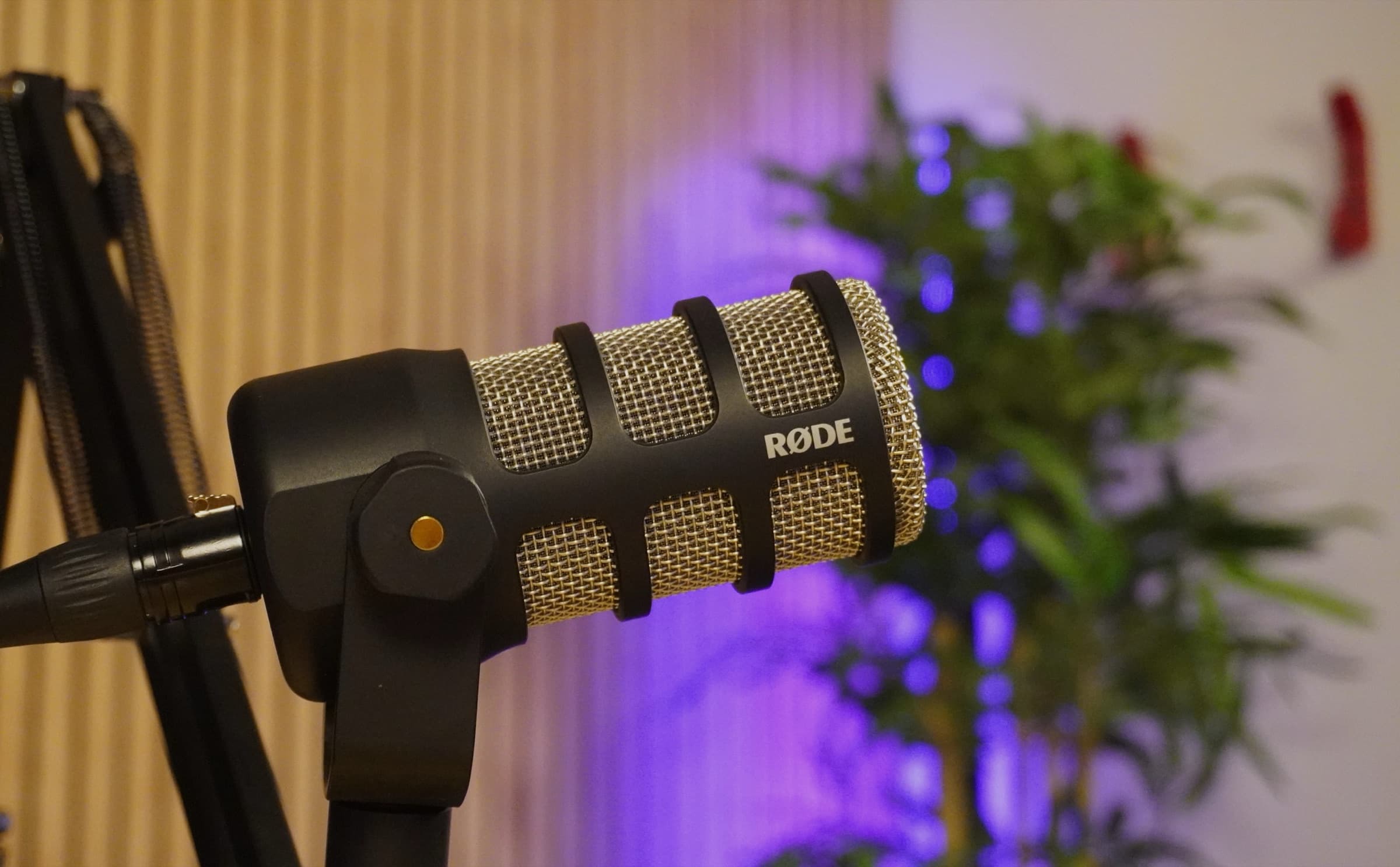 Voiceover & Speakeraggio